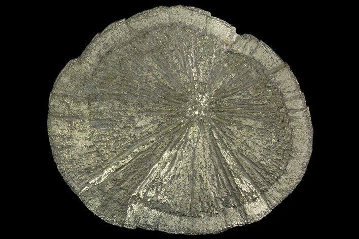 Beautiful Pyrite Sun - Sparta, Illinois #89705